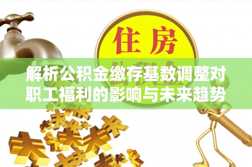 碌曲解析公积金缴存基数调整对职工福利的影响与未来趋势