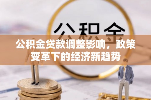 碌曲公积金贷款调整影响，政策变革下的经济新趋势