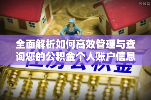 碌曲全面解析如何高效管理与查询您的公积金个人账户信息