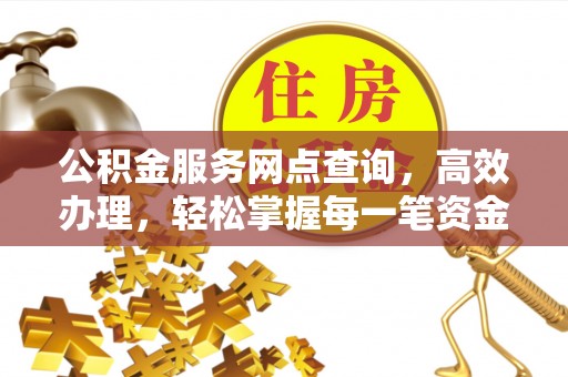 碌曲公积金服务网点查询，高效办理，轻松掌握每一笔资金动态