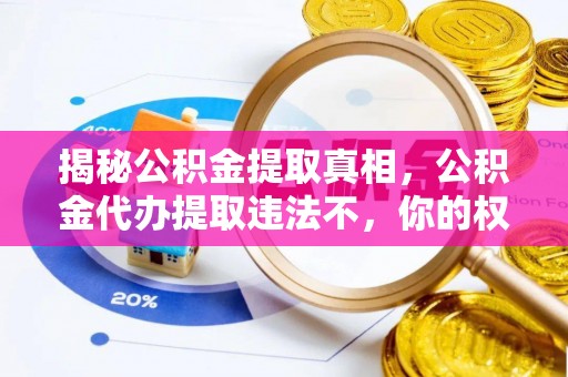 碌曲揭秘公积金提取真相，公积金代办提取违法不，你的权益如何保障？